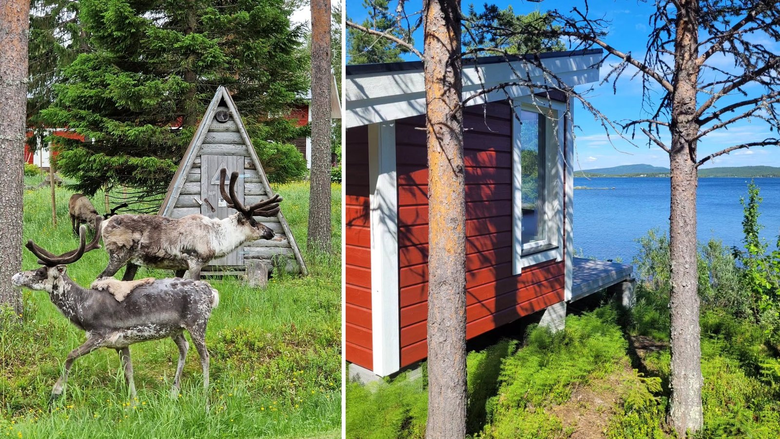 Swedish Lapland photo 1