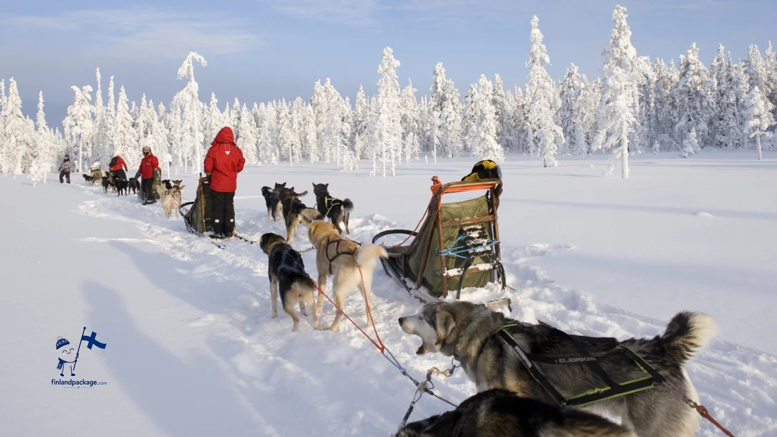10 Day Finland tour package photo 5